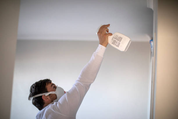 Best Certified Mold Removal  in Webster City, IA