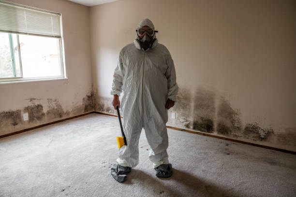 Best Mold Testing  in Webster City, IA